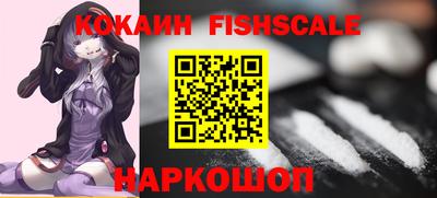 молекула духа Краснознаменск
