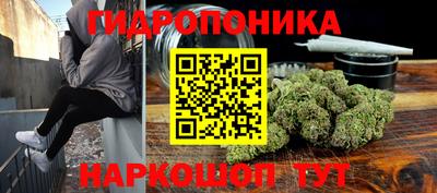 молекула духа Краснознаменск