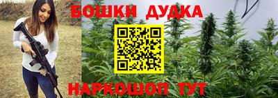 стаф Краснодар