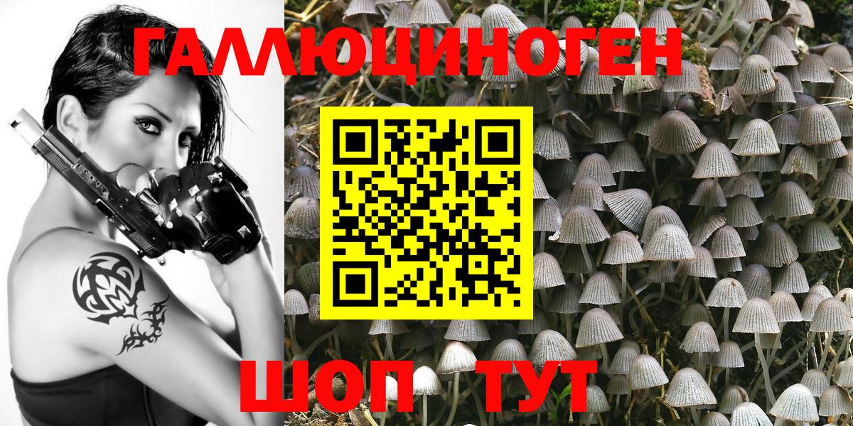 Псилоцибиновые грибы мицелий  Вход с VPN  Касимов 