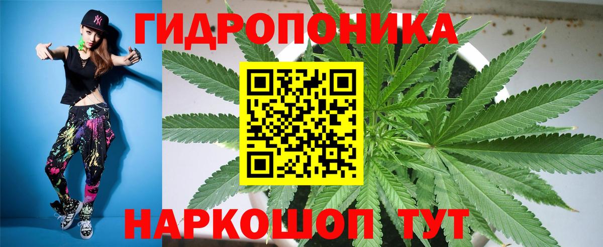 Шишки марихуана OG Kush Касимов